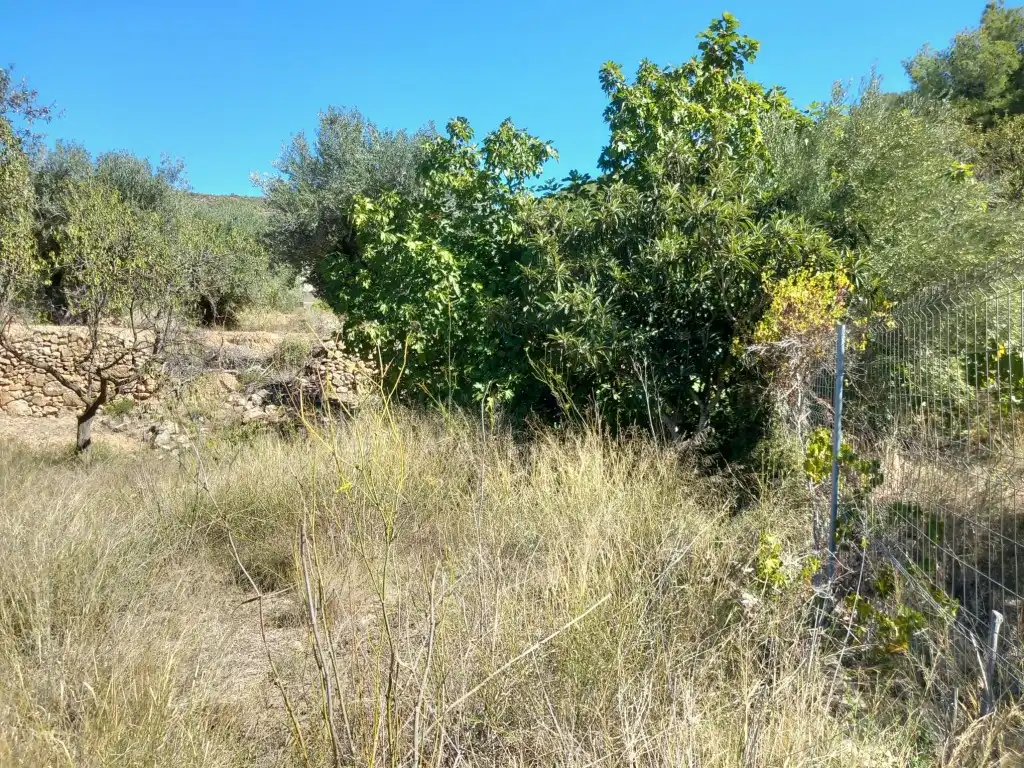 Terreno en venta en Tuéjar