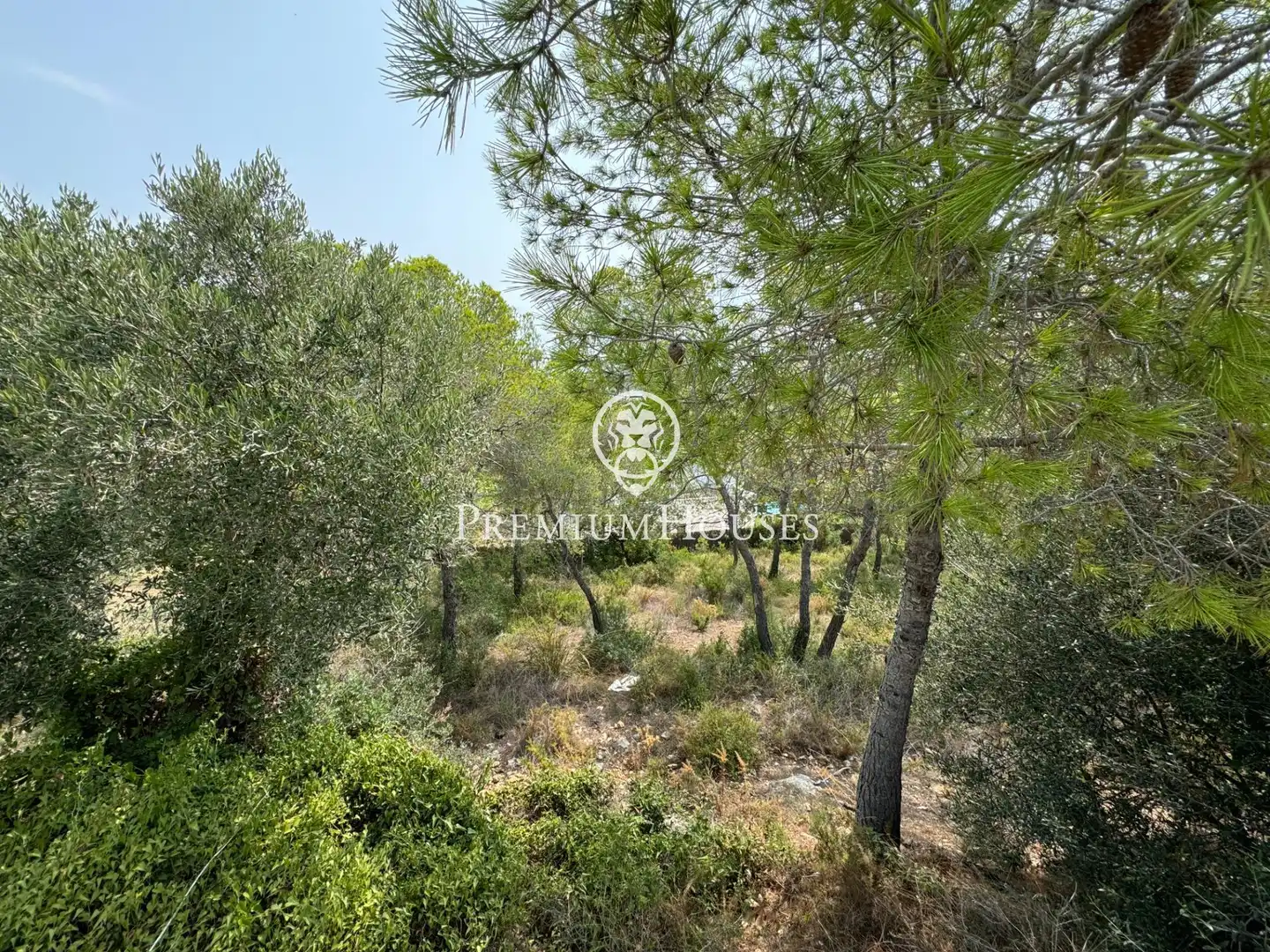 Terreny residencial en venda a Avenida del Camí de Miralpeix, imagen 2