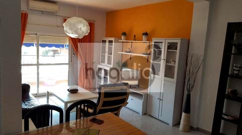 Foto 2 de Piso de alquiler en Sector Sur  - La Palmera - Reina Mercedes,  Sevilla Capital