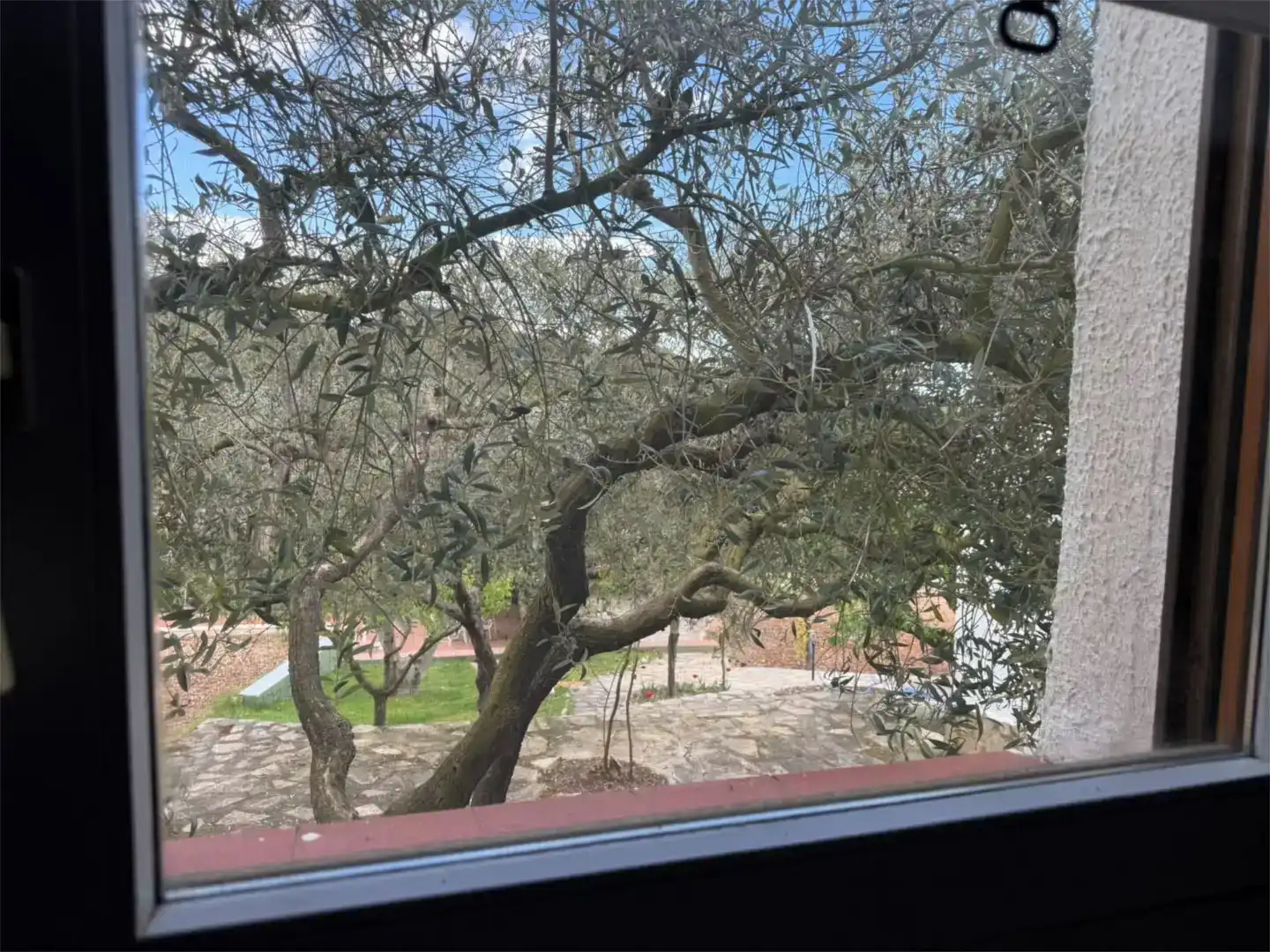 Jardí de Pis de lloguer en Aiguamúrcia amb Jardí privat, Traster i Piscina