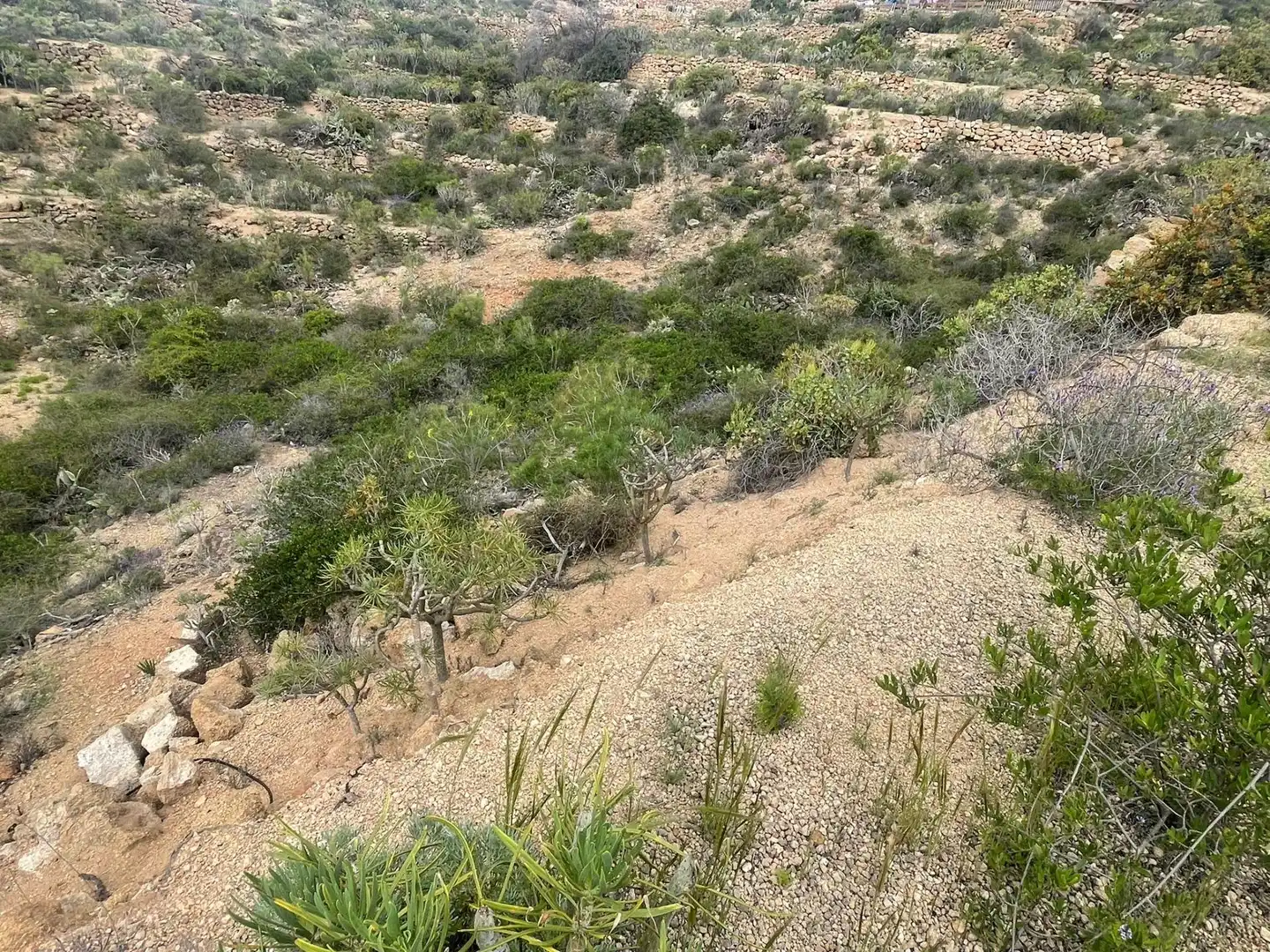 Terreno rustico in vendita a Arico, imagen 5