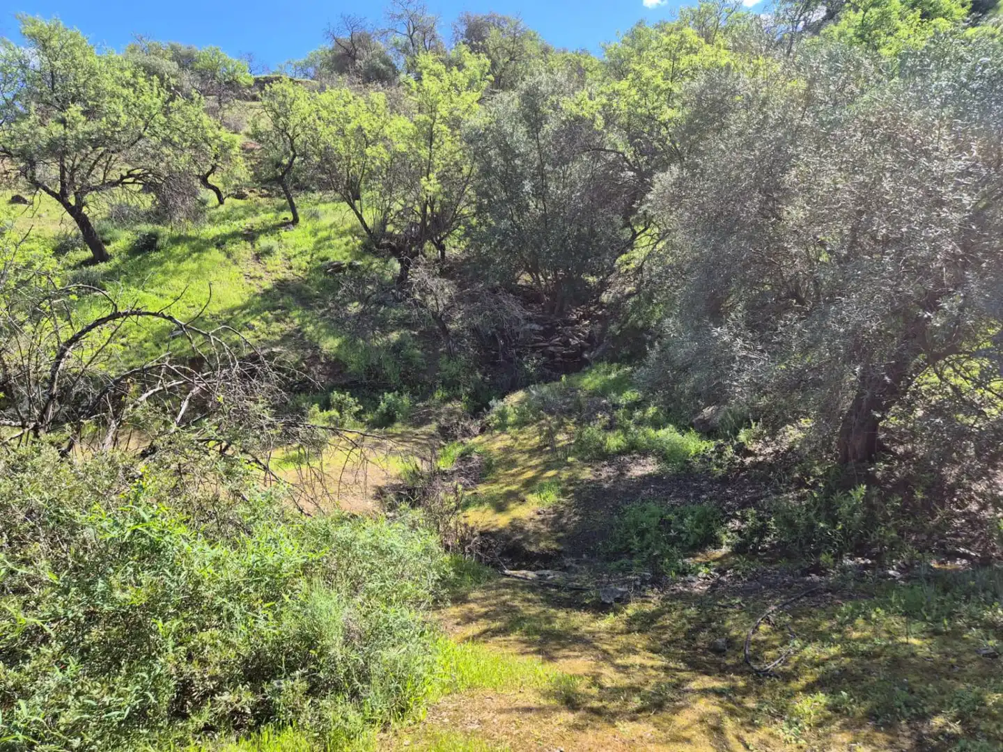 Finca rústica en venda en Guaro amb Calefacció, Terrassa i Traster