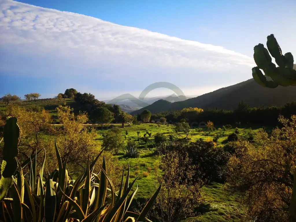 Casa rústica en venda a Gaucín, imagen 6