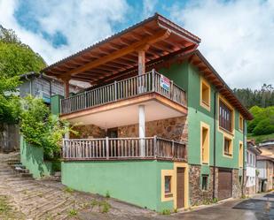 Vista exterior de Casa o xalet en venda en Tineo amb Terrassa