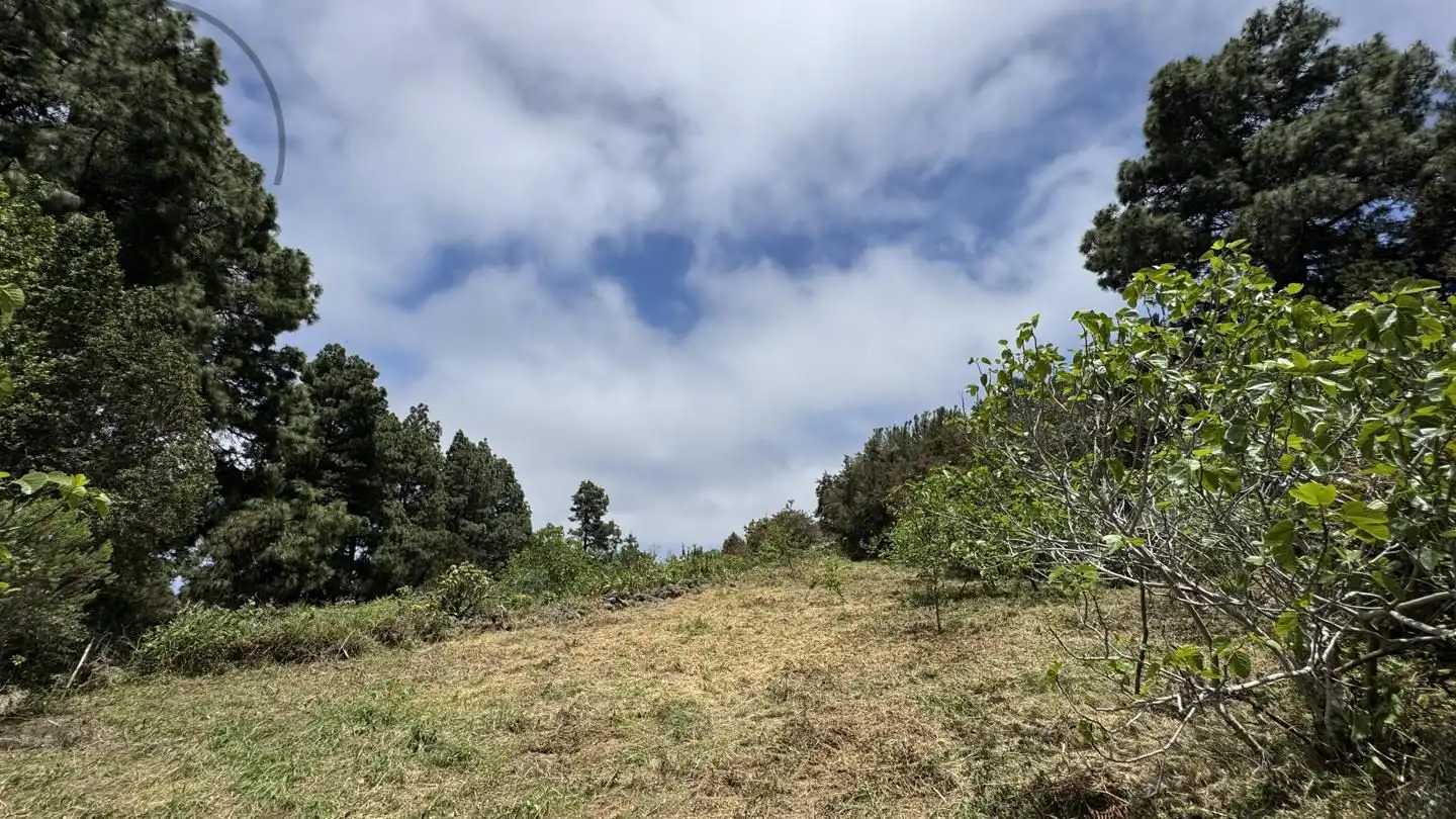 Lands and plots for sale in La Peña 1, imagen 25