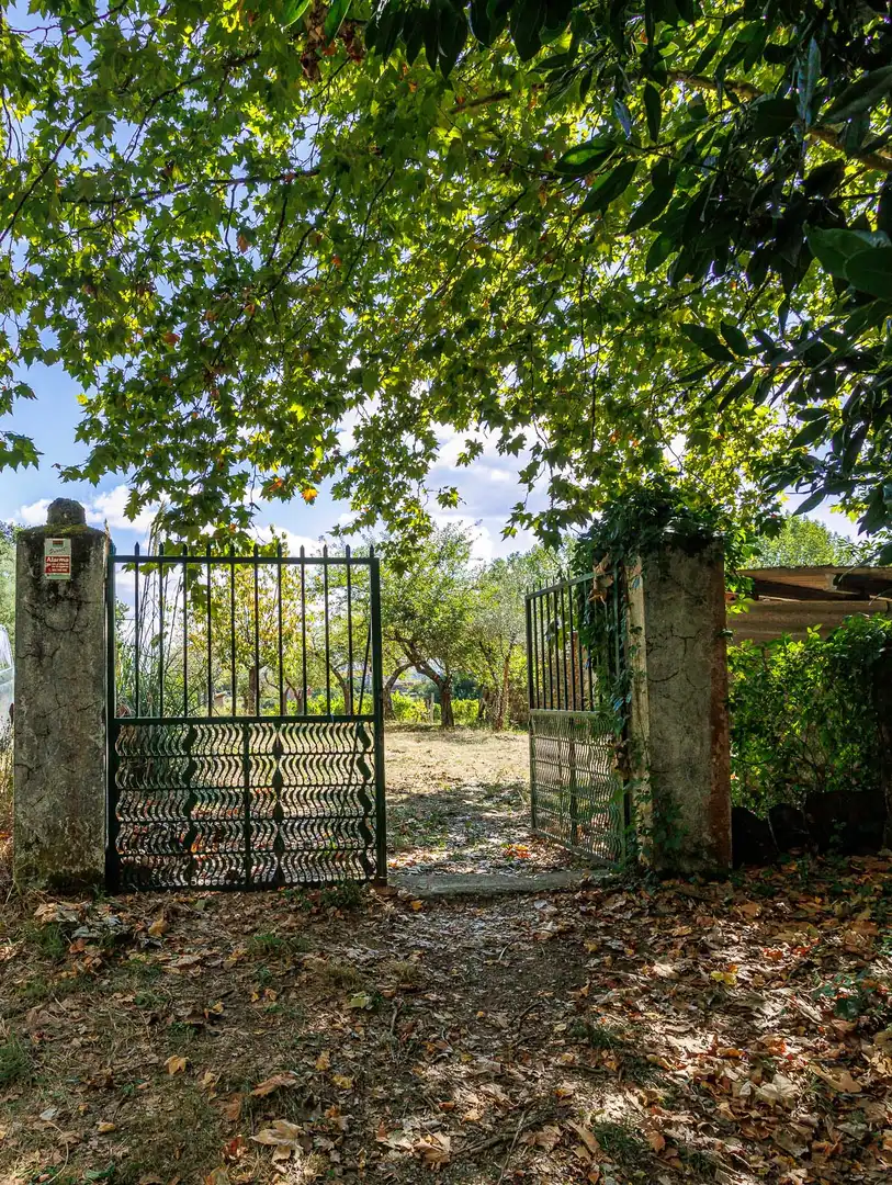 Geschaftsraum zum Verkauf in Monforte de Lemos