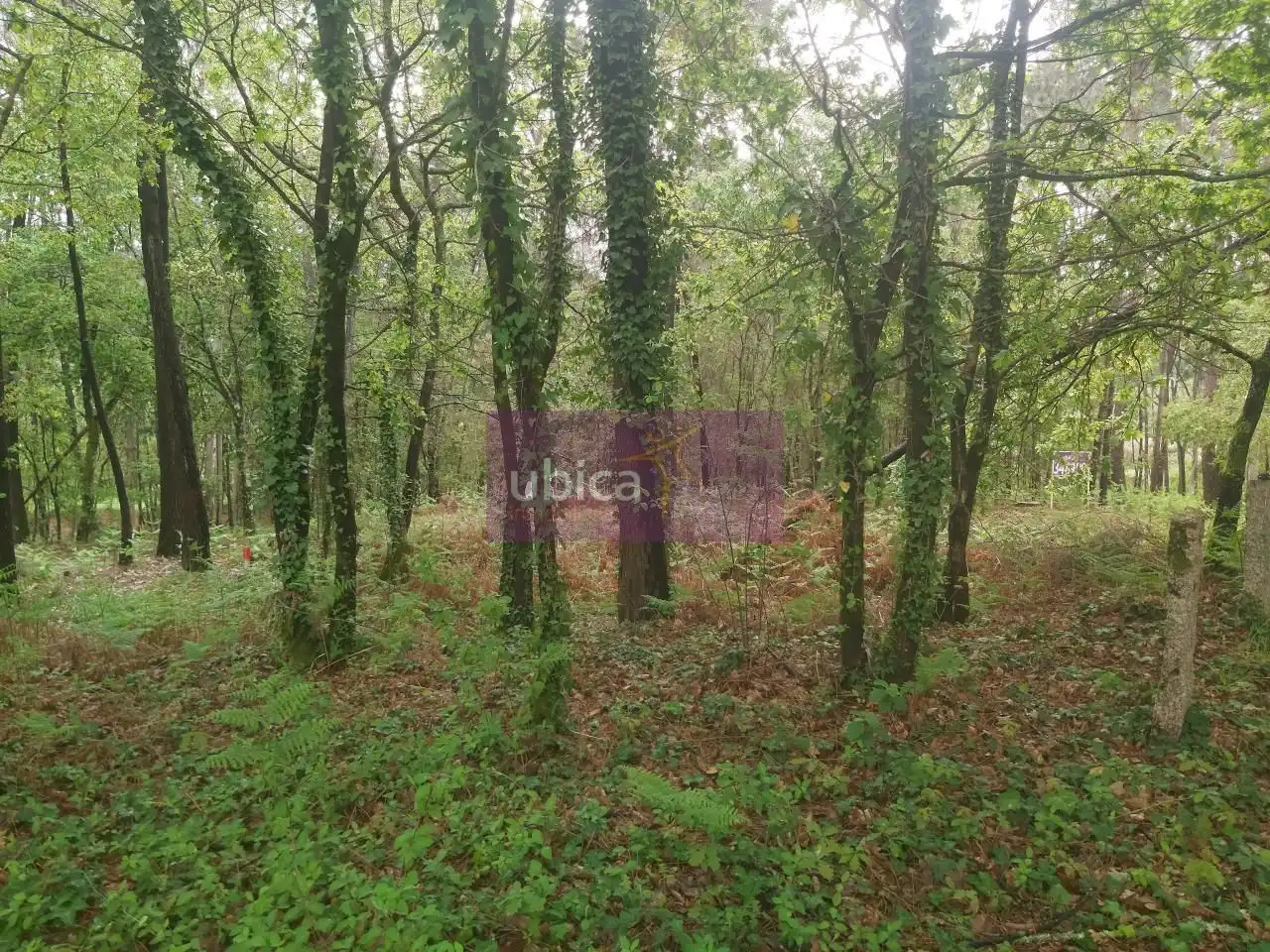 Lands and plots for sale in Salceda de Caselas, imagen 6