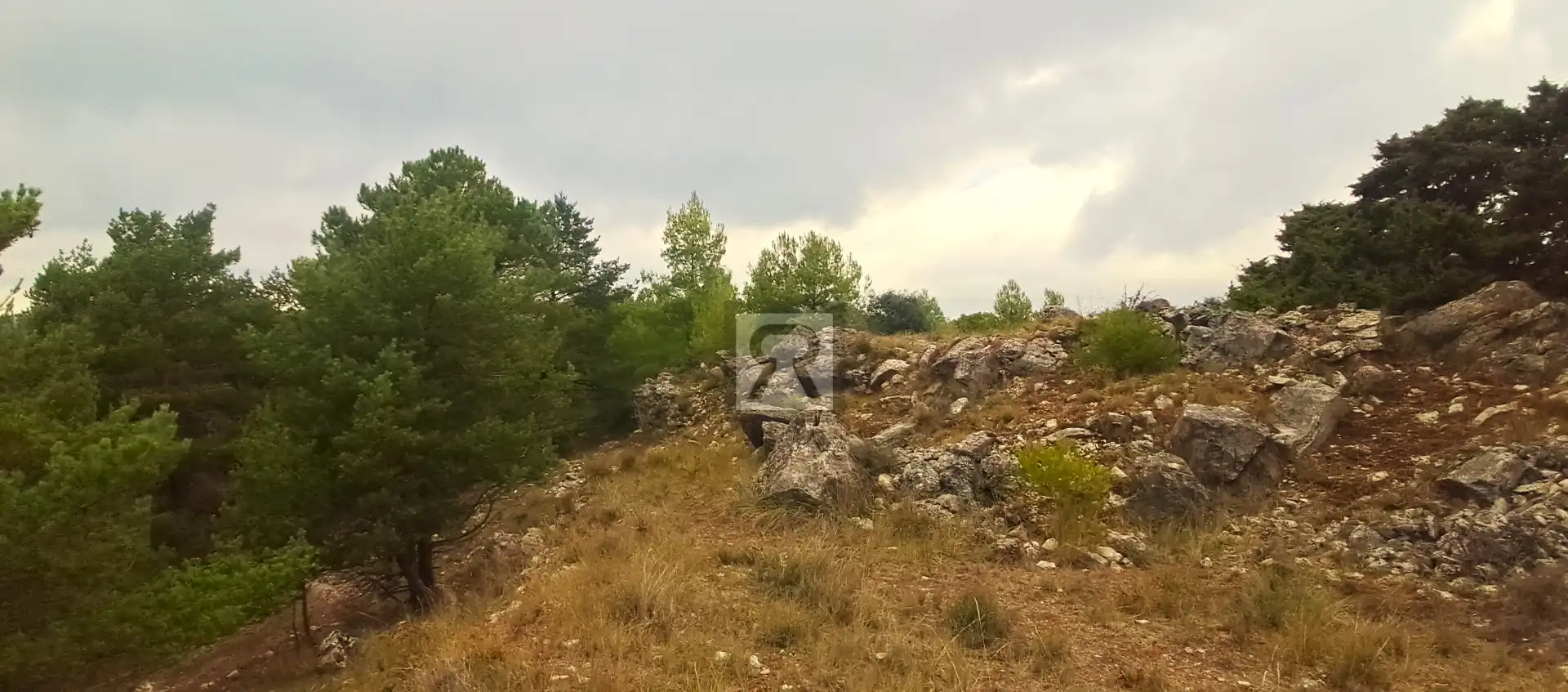Terrain rustique à vendre à Coroneta 30, imagen 14