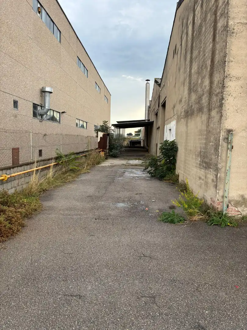 Nave industrial en alquiler en Passeig de Sanllehy, imagen 21