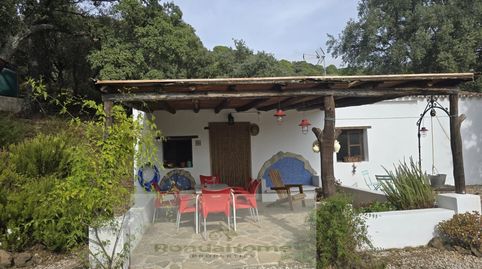 Foto 3 de Finca rústica en venda a Poligono 2 Paraje 85 la Porrona, Jubrique, Málaga
