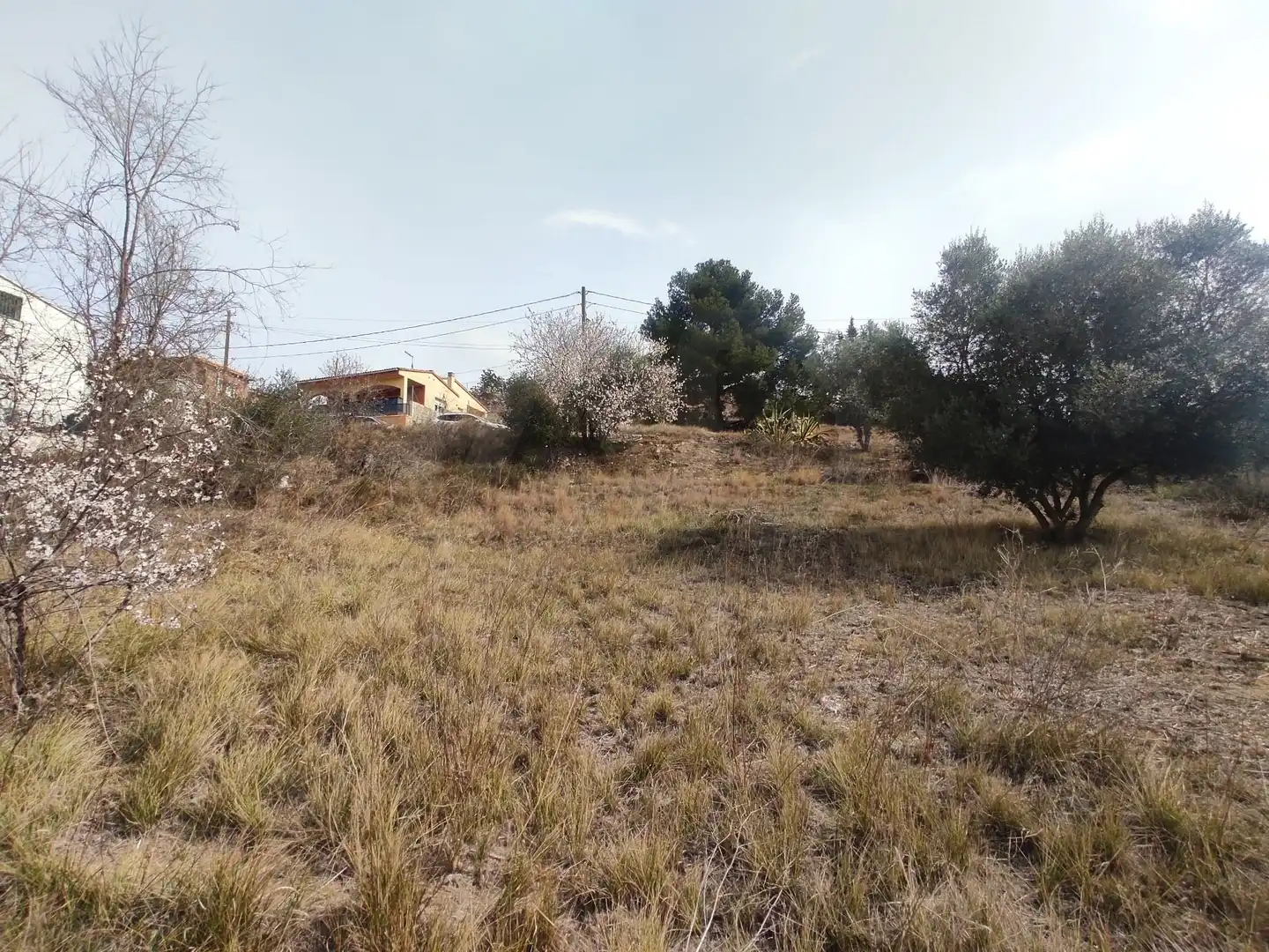 Terrenys i solars en venda a La Bisbal del Penedès, imagen 23