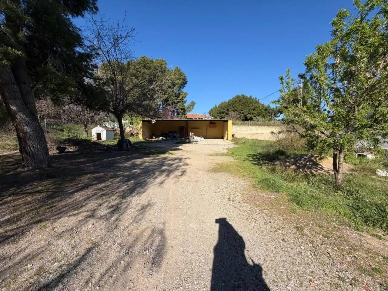 Vista exterior de Casa o chalet en venta en Almansa con Calefacción y Jardín privado