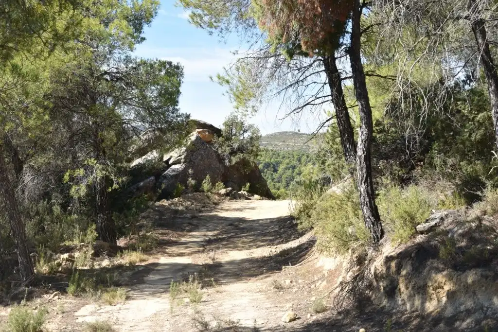 Terreni e lotti in vendita a Valderrobres, imagen 4