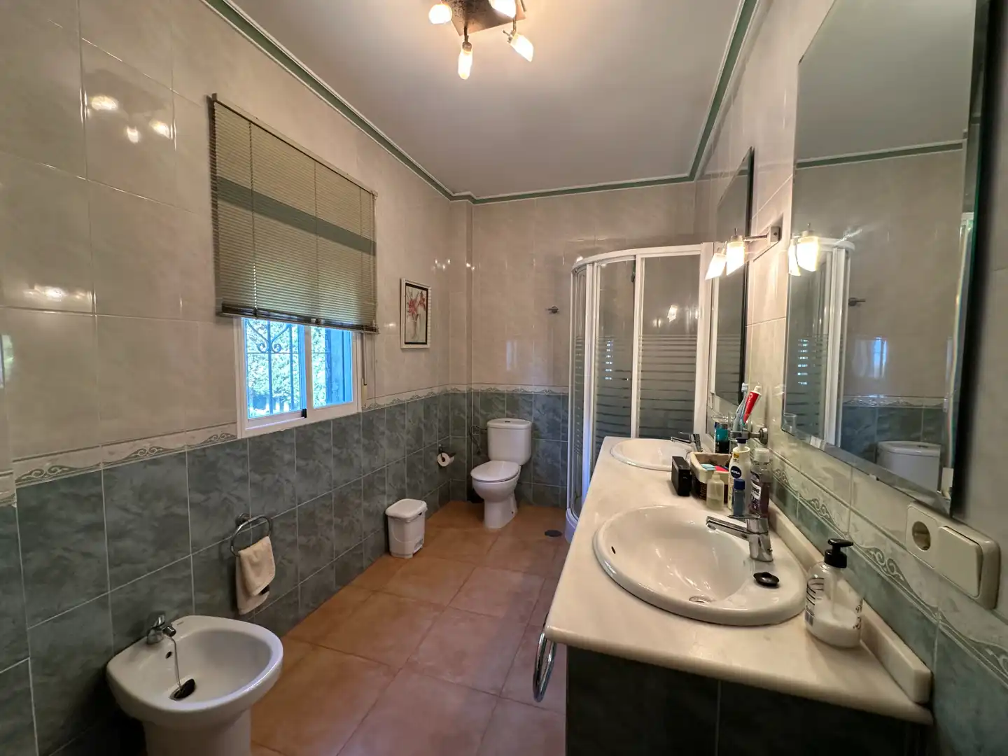 Bany de Casa o xalet en venda en Úbeda amb Aire condicionat, Jardí privat i Terrassa