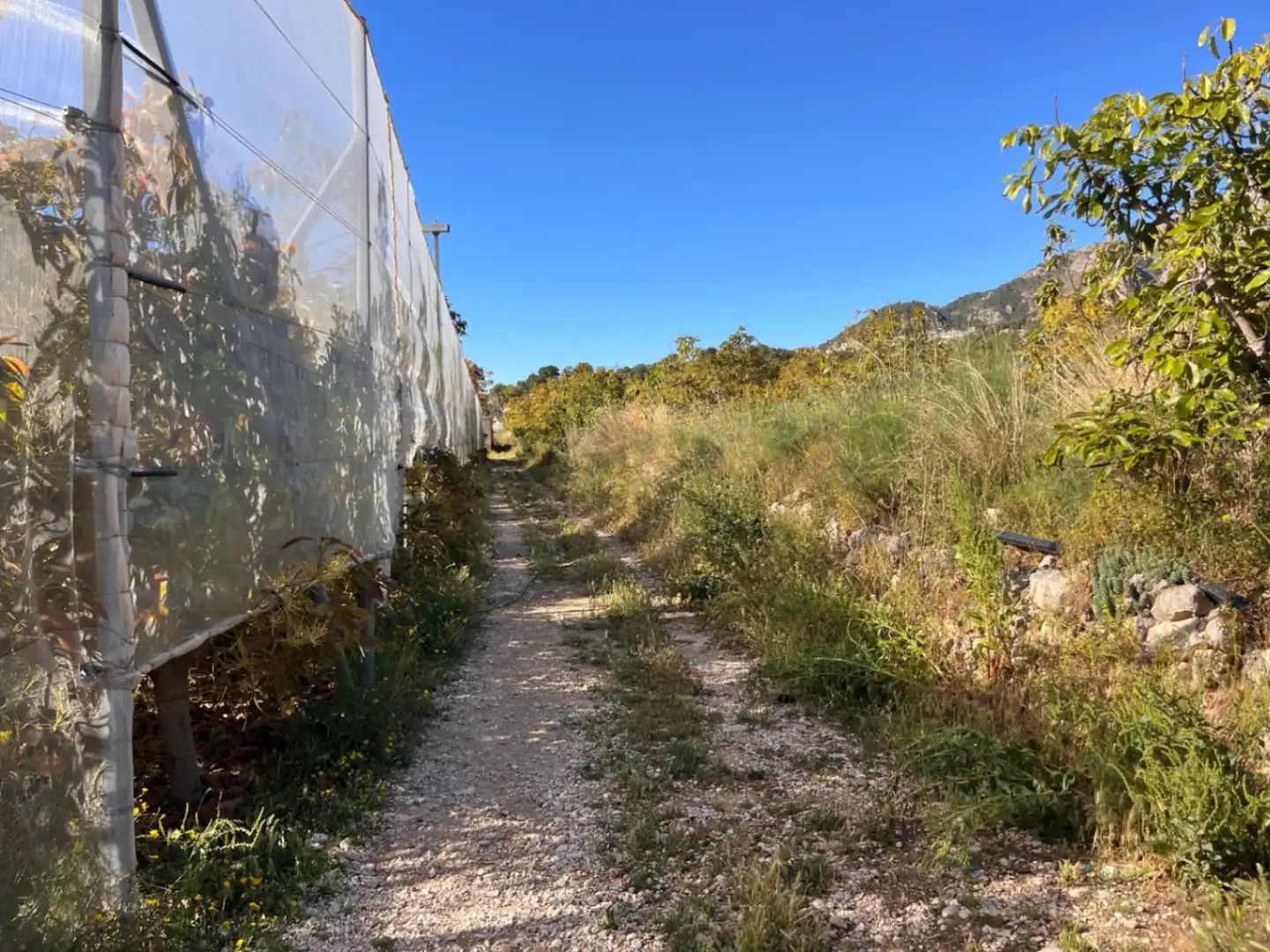 Grundstücke und Bauplätze zum Verkauf in Casco urbano, imagen 3
