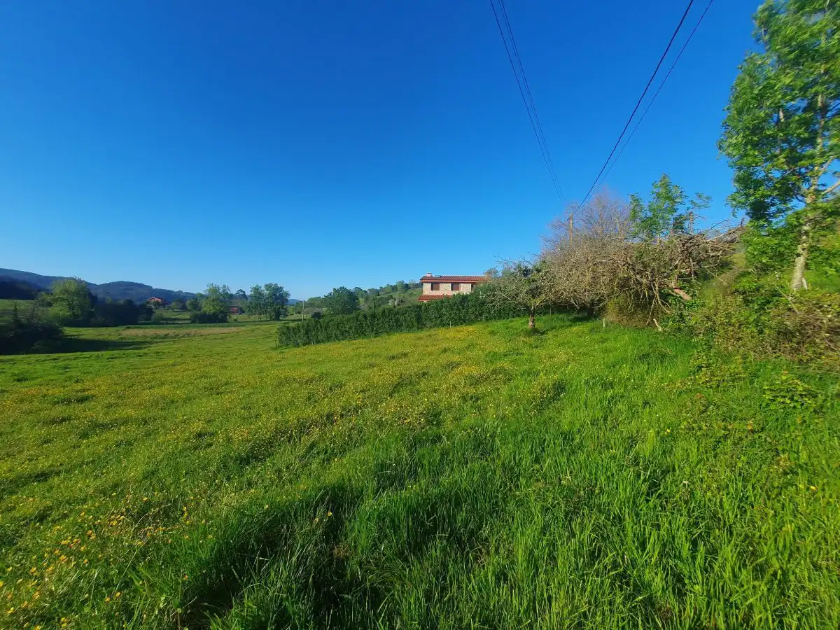 Terrenos y solares en venta en Salas, imagen 12