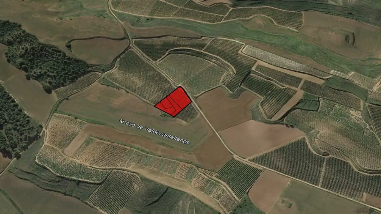 Rural land for sale in C/ Barrio del Priorato