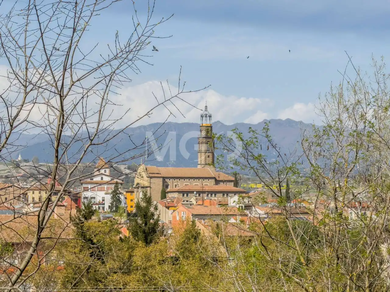 Casa o xalet en venda a Manlleu