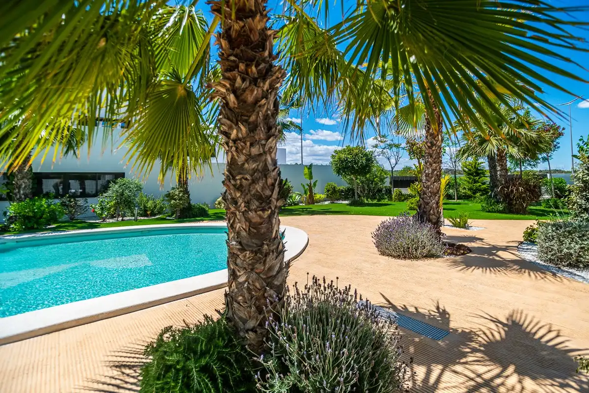 Piso con terraza en venta en Los Balcones - Los Altos, imagen 51