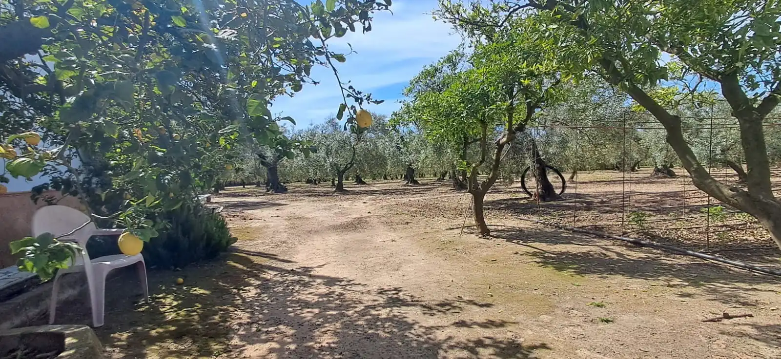 Houses for sale in Utrera  with Private garden and Swimming Pool