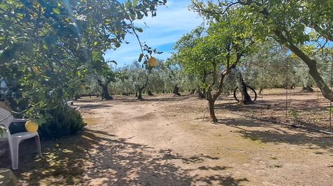 Foto 4 de Casa o chalet en venta en Los Molares, Sevilla