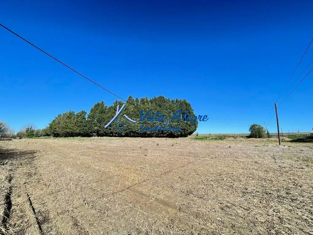 Land for sale in Ollauri