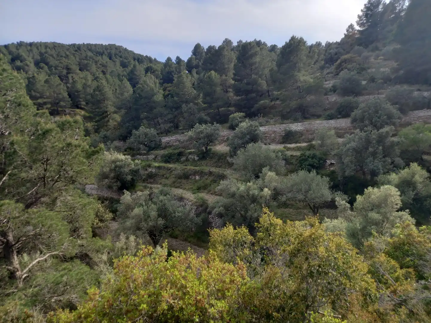 Rural land for sale in El Pinell de Brai, imagen 30