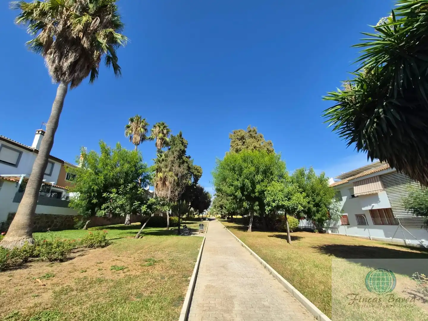 Wohnung zur Miete in Las Lagunas, imagen 29