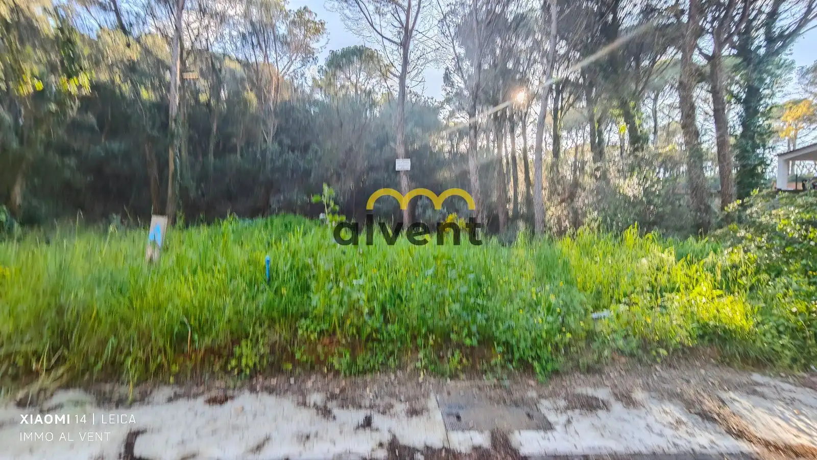 Rural land for sale in Manxa, imagen 24