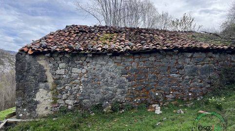 FINCA Y CABAÑA EN CABRALES PICOS DE EUROPA, immagine 4