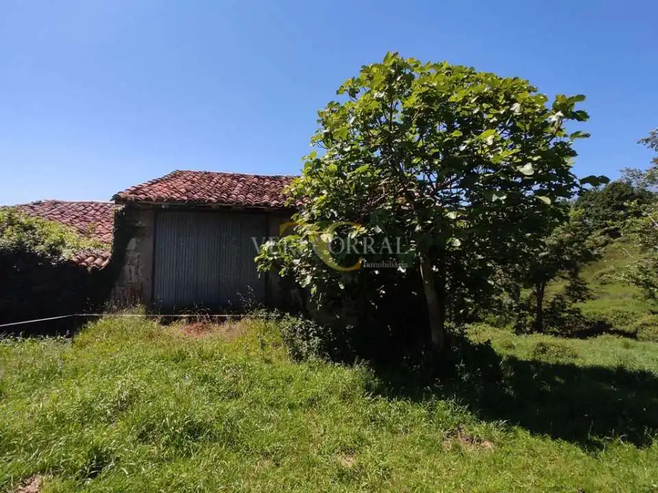 Casa con giardino in vendita a Collía, imagen 9