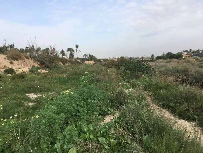 Residencial en venta en PD ALGOROS 8006(B)ELCHE/ELX (ALICANTE), -1, Algorós - El Derramador