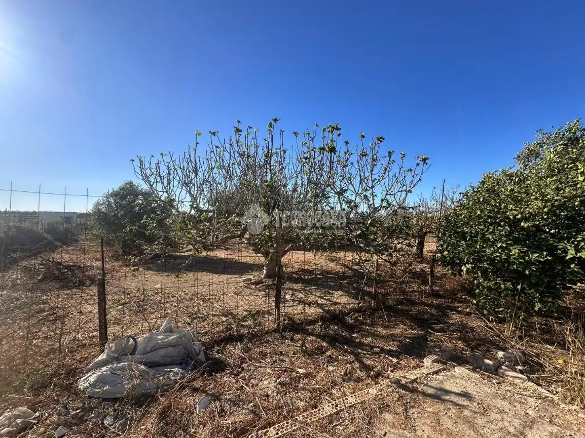 Casa rústica con jardín en venta en Pelagatos - Pago del Humo, imagen 17