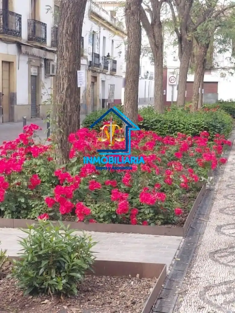 Vista exterior de Pis en venda en Córdoba