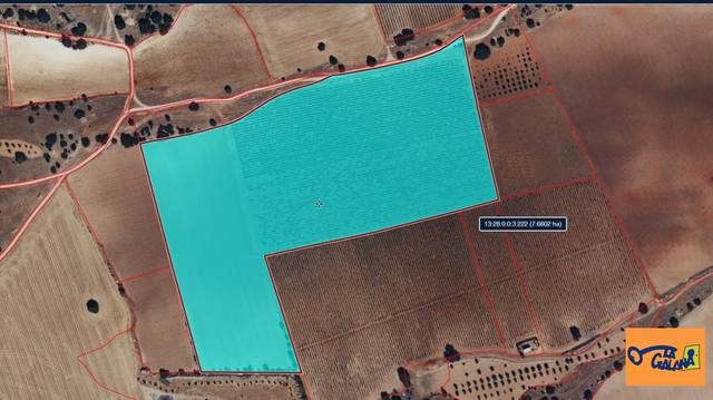 Finca rústica en Venta en Campo de Criptana