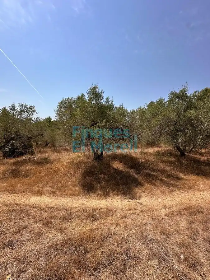 Houses for sale in L'Aleixar  with Terrace and Balcony