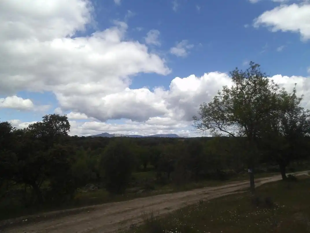 Vista exterior de Residencial en venda en Valdemorillo