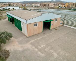 Nau industrial en venda a Camino Alguelma, 29, Cuevas del Almanzora pueblo