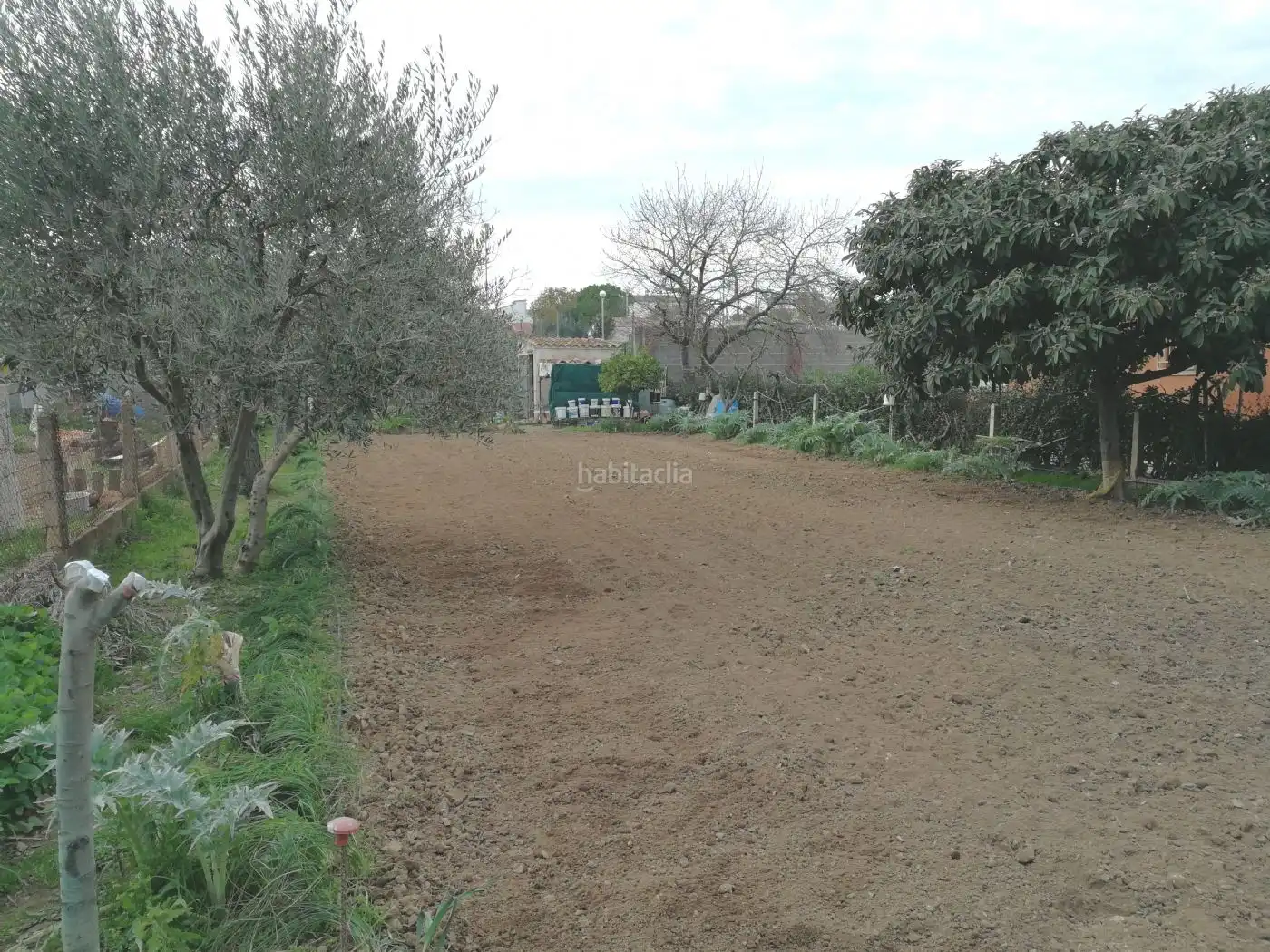 Terreno residencial en venta en Avinguda de l'Onze de Setembre 11, imagen 3