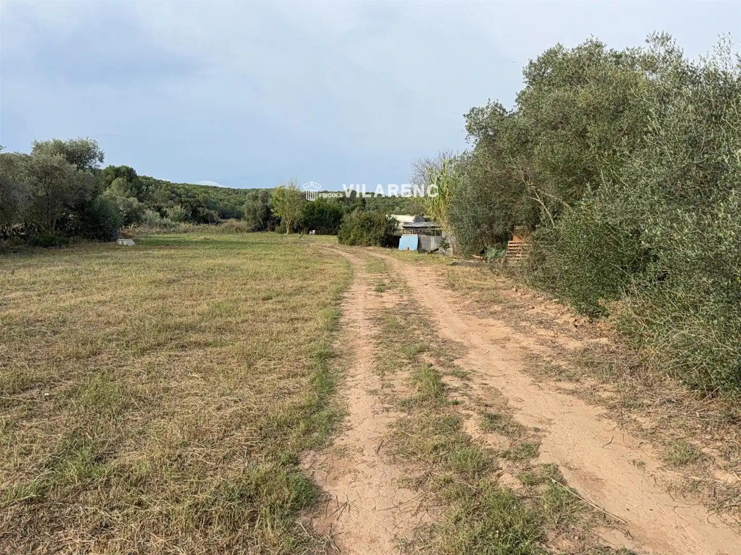 Rustikales Grundstück zum Verkauf in La Riera de Gaià, imagen 14