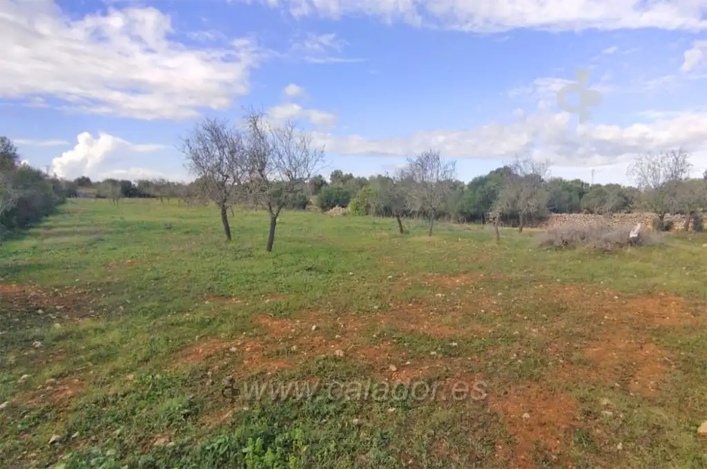 Land for sale in Felanitx
