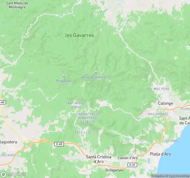 Pis en venda en Santa Cristina d'Aro amb Traster