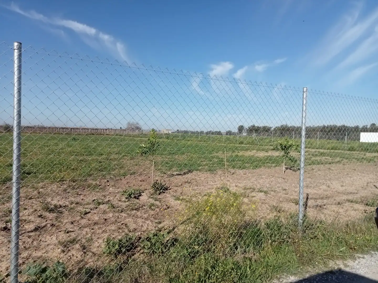Rustikales Grundstück zum Verkauf in Los Palacios y Villafranca, imagen 6