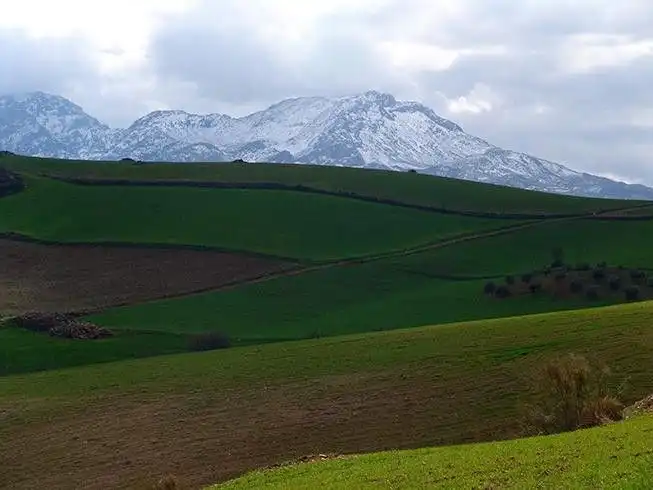 Terreno residenziale in vendita a Ardales