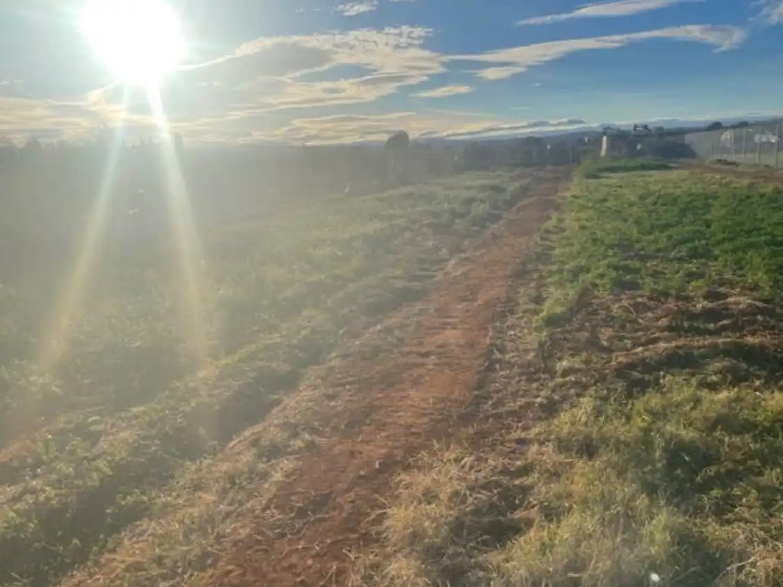 Terreno rustico in affitto a Carrer Xirivella 2, imagen 4