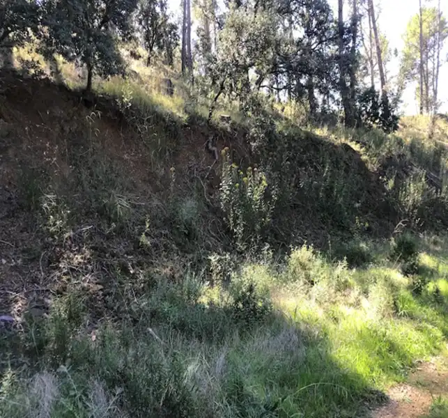 Terreno residenziale in vendita a Vallesa, imagen 5