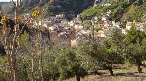 Foto 2 de Finca rústica en venta en El Arroyo, Polig, Monachil pueblo, Monachil