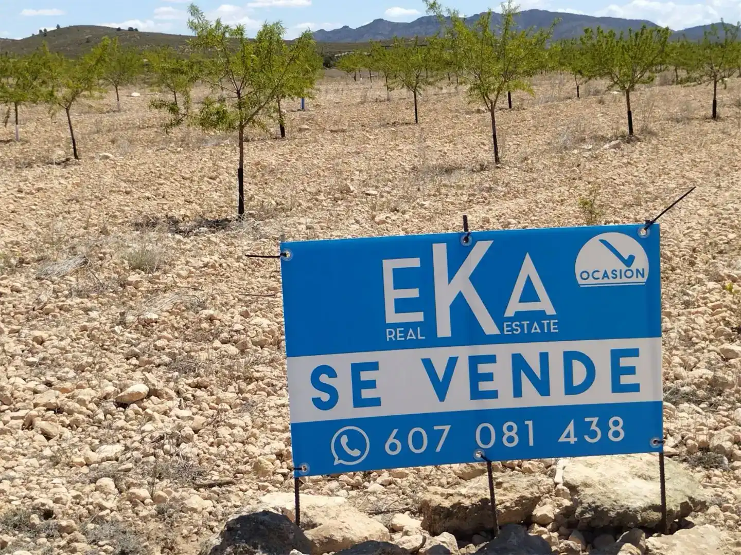 Terreno en venta en Montealegre del Castillo, Albacete