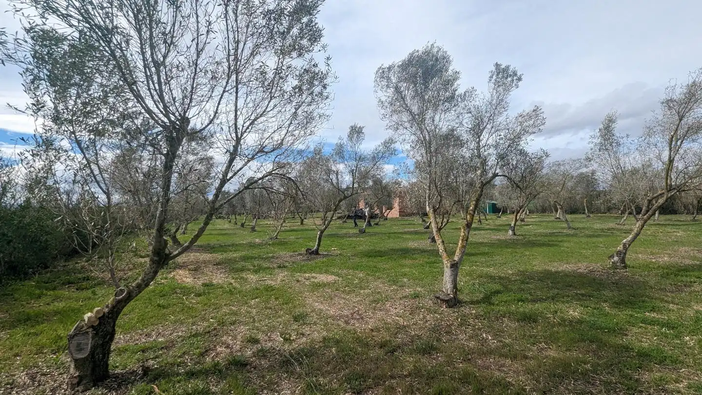 Residential for sale in Tudela