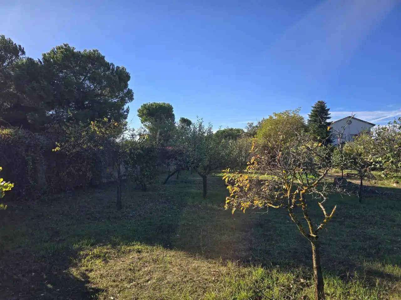 Casa o xalet en venda en Pioz amb Calefacció, Jardí privat i Terrassa